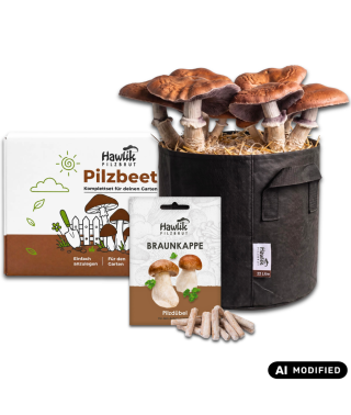 Pilzzucht-Taschen-Komplettset: Braunkappe-Pilzbeet ohne Garten