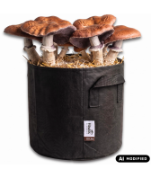 Pilzzucht-Taschen-Komplettset: Braunkappe-Pilzbeet ohne...