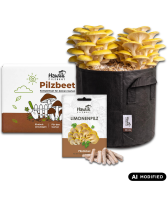 Pilzzucht-Taschen-Komplettset: Limonenpilz-Beet ohne Garten