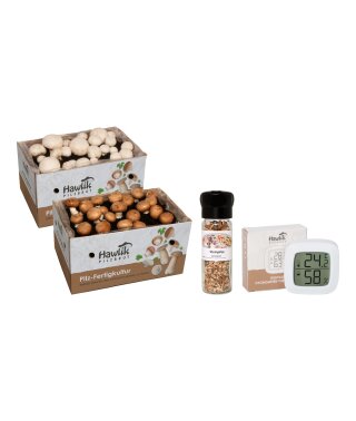 Geschenkbox Pilzzucht: Champignon Mix Probierset klein + Thermometer + Steinpilz-Pilzmühle