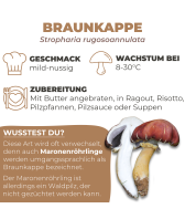 Braunkappe Dübel