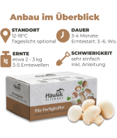 Champignon Mix Probierset klein