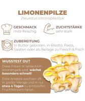 Limonenpilzkultur mittel