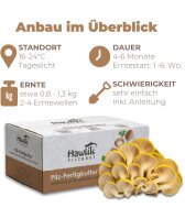 Limonenpilzkultur mittel
