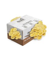 Limonenpilzkultur mittel