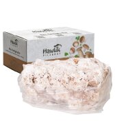 Limonenpilzkultur mittel