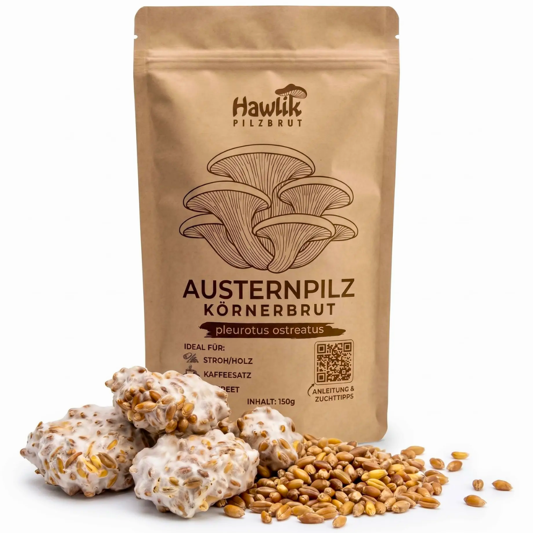 austernpilz-koernerbrut