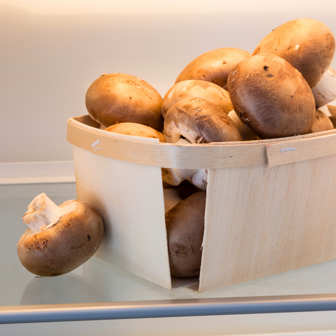 champignons-kuehlschrank