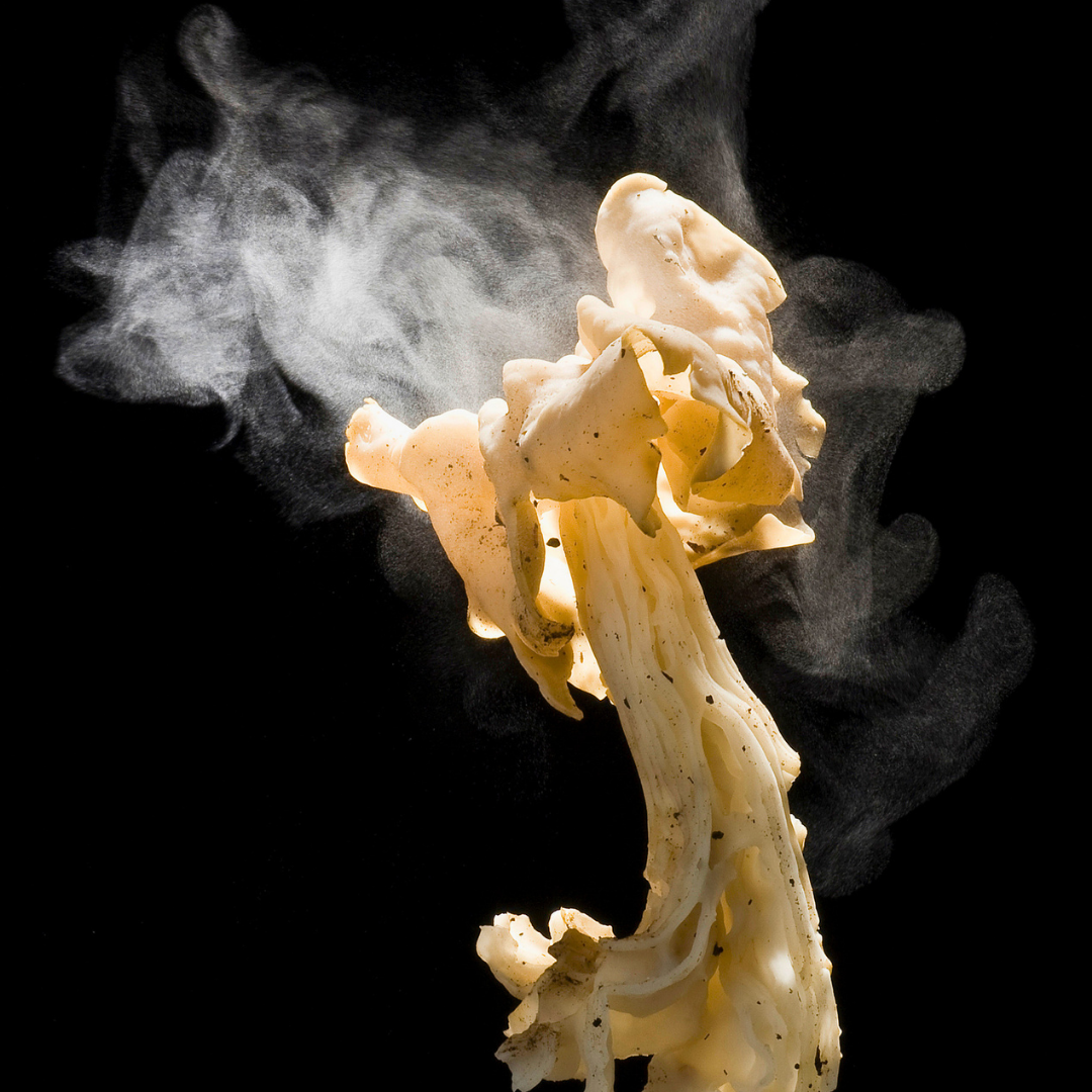 sporenverteilung