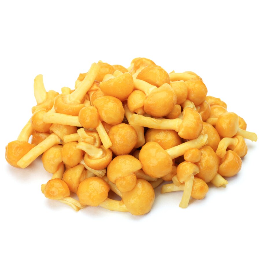 Toskanapilz (Nameko) für die Ingwersuppe