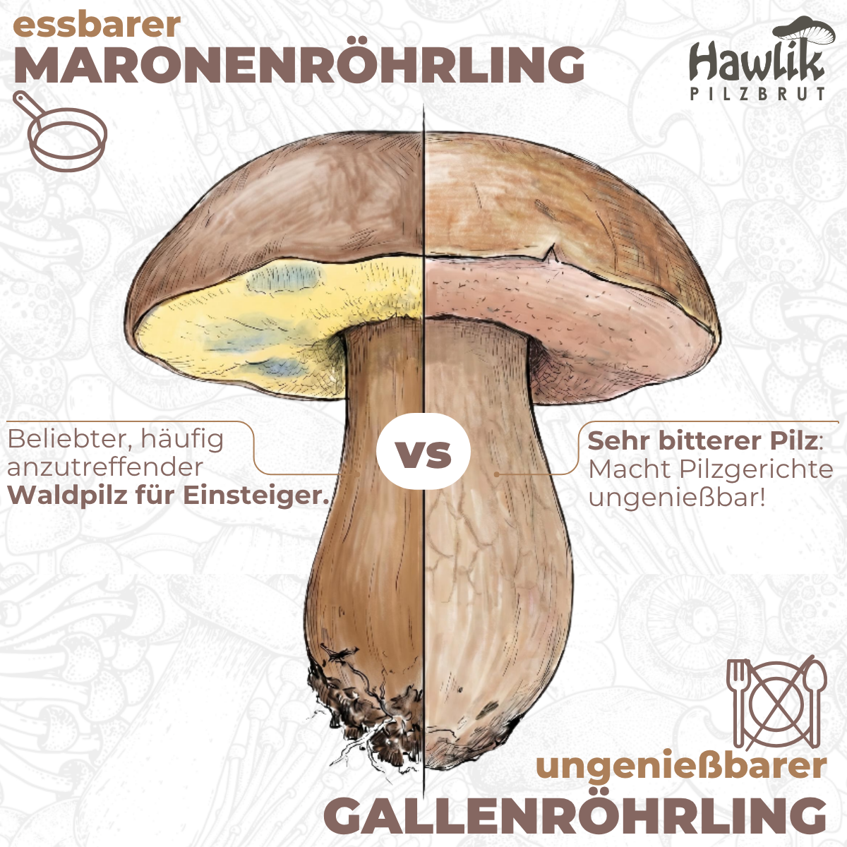 maronenroehrling-verwechslung