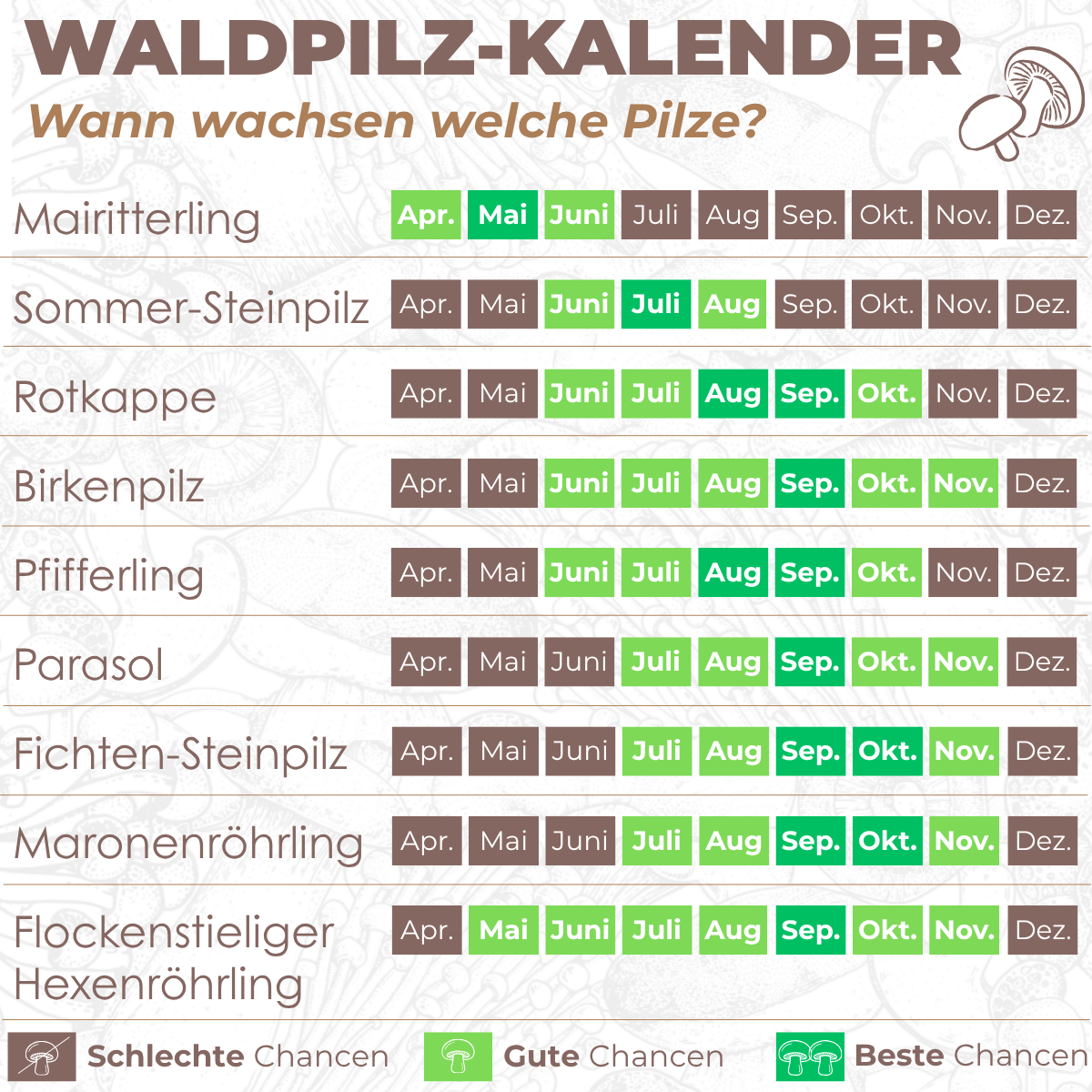 waldpilz-kalender