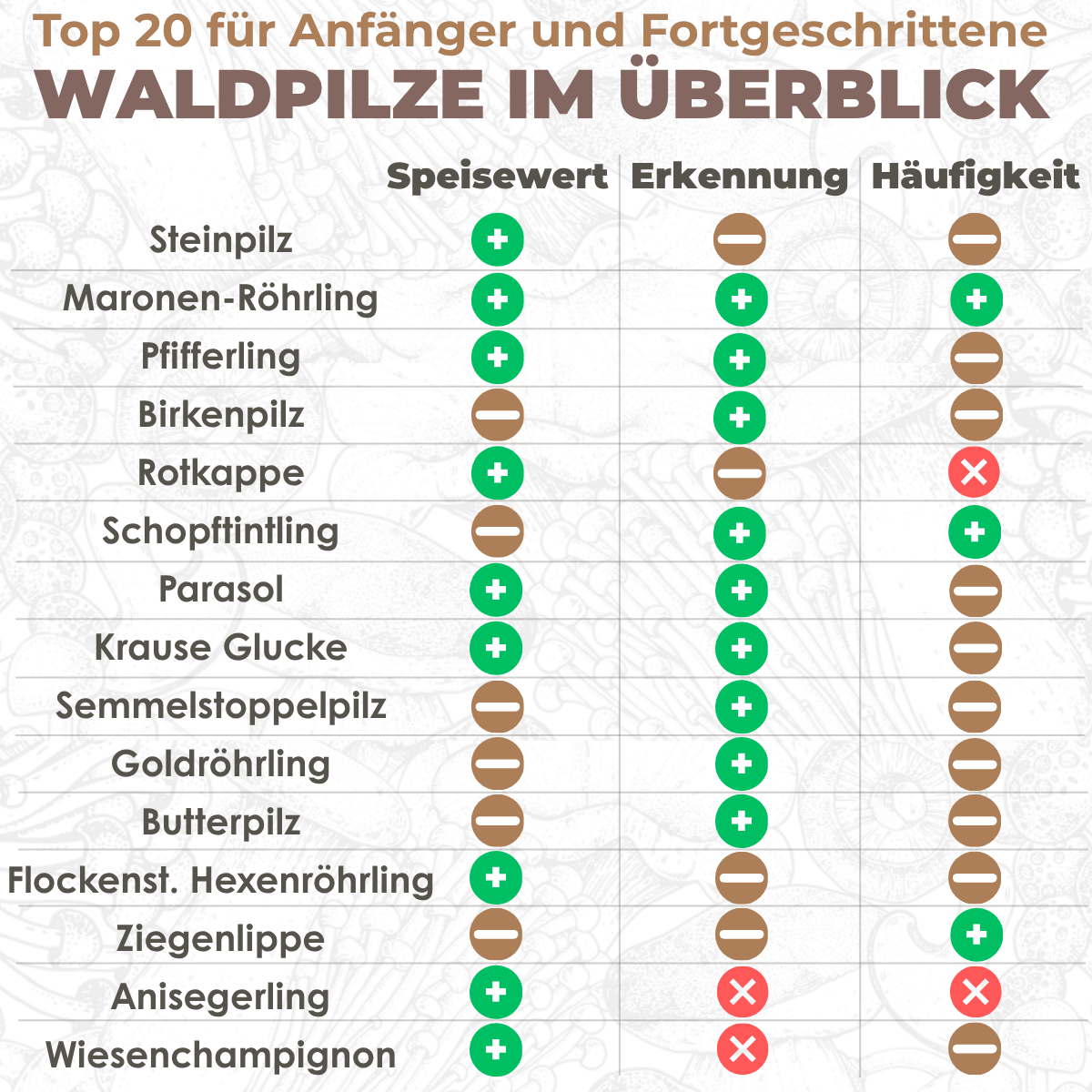 waldpilze-fuer-anfaenger