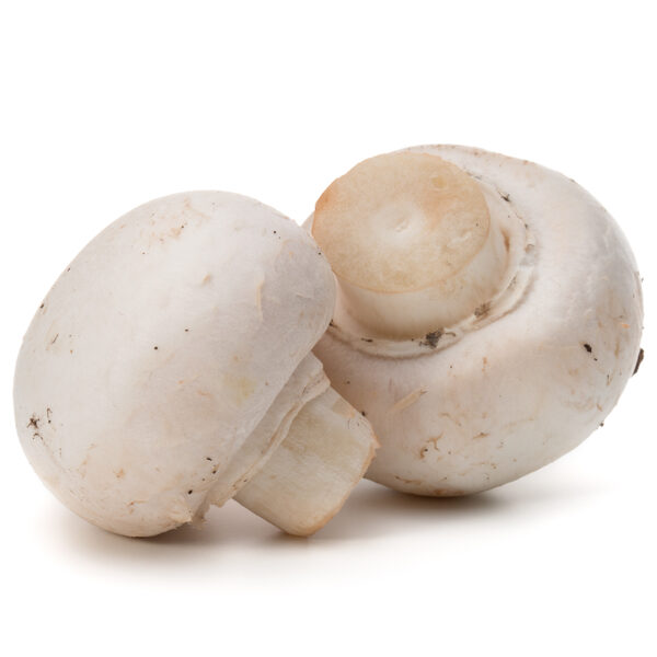 Champignons