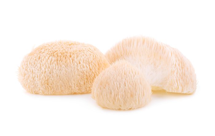 Hericium