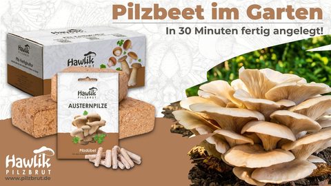 Video: Pilzbeet im Garten anlegen