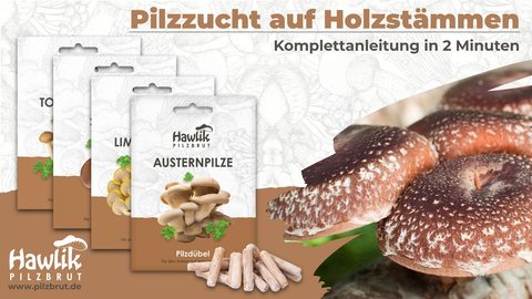 Video: Anbau auf Holz mit Pilzdübeln